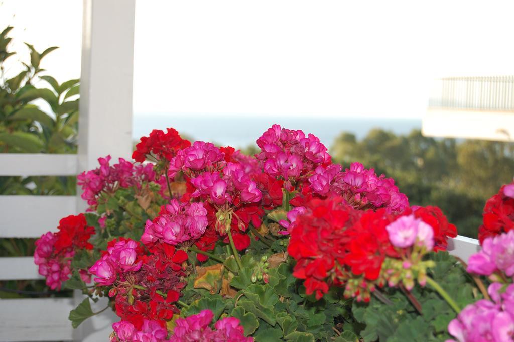B&B H224 Reggio di Calabria Luaran gambar
