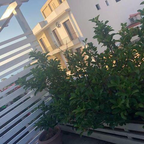 B&B H224 Reggio di Calabria Luaran gambar